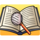 Grafik Buch mit Lupe