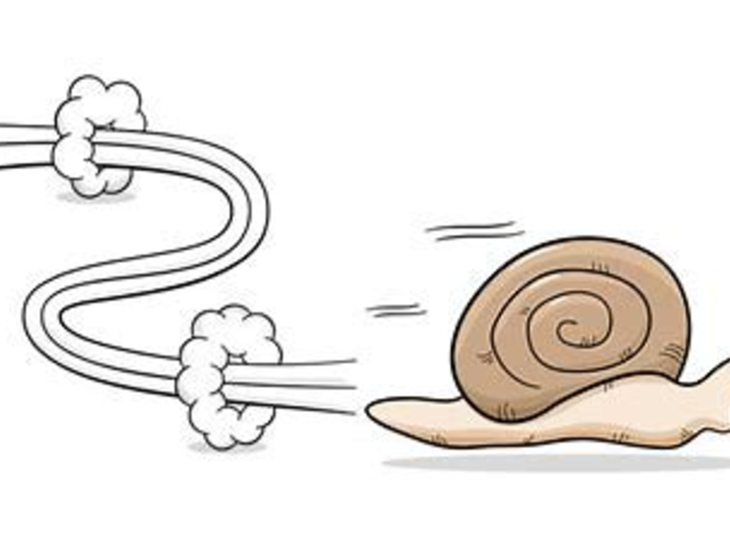 Eine Schnecke